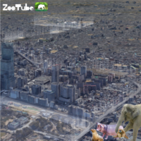 ZooTube ーミナミの動物園区化による新しい都市計画のかたちー