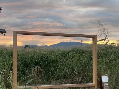 おぎの美術館「第45回緑の都市賞　国土交通大臣賞」受賞！　