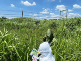 おぎの美術館「第41回都市公園等コンクール国土交通大臣賞」受賞！　