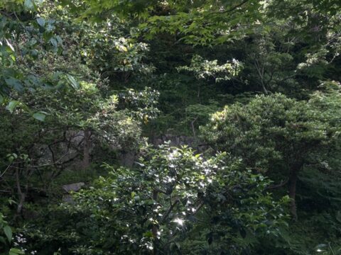 5月見学会を開催しました！