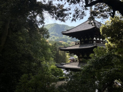 5月見学会を開催しました！